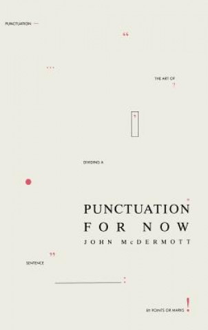 Boek Punctuation for Now J. McDermott