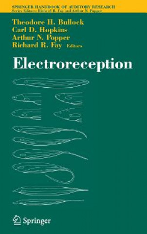 Книга Electroreception Theodore Holmes Bullock