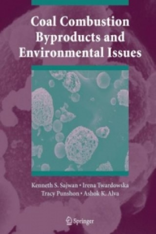 Książka Coal Combustion Byproducts and Environmental Issues Kenneth S. Sajwan