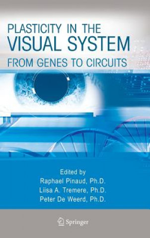 Buch Plasticity in the Visual System Raphael Pinaud