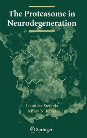 Knjiga Proteasome in Neurodegeneration Leonidas Stefanis