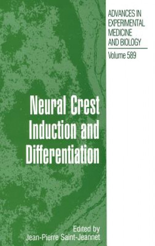 Könyv Neural Crest Induction and Differentiation Jean-Pierre Saint-Jeannet