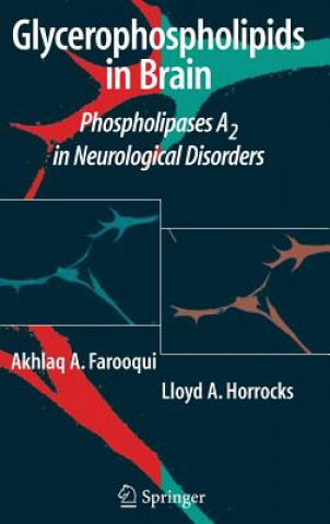 Kniha Glycerophospholipids in the Brain Akhlaq A. Farooqui