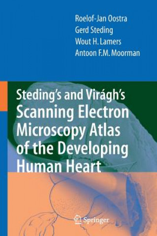 Kniha Steding's and Viragh's Scanning Electron Microscopy Atlas of the Developing Human Heart R. J. Oostra