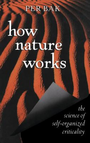 Livre How Nature Works Per Bak