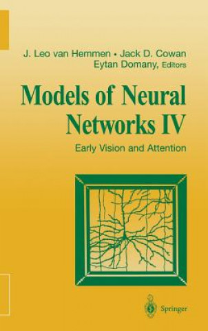 Könyv Models of Neural Networks IV J. Leo van Hemmen