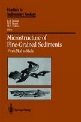 Kniha Microstructure of Fine-Grained Sediments W.A. Chiou