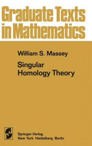 Kniha Basic Course in Algebraic Topology W.S. Massey