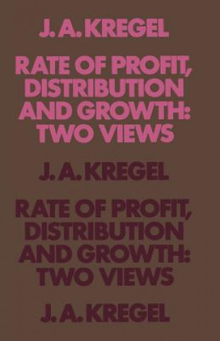 Książka Rate of Profit, Distribution and Growth: Two Views J.A. Kregel