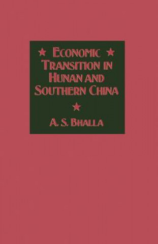 Könyv Economic Transition in Hunan and Southern China A. S. Bhalla
