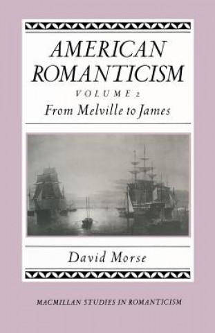 Buch American Romanticism David  Morse