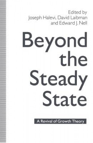 Książka Beyond the Steady State Joseph Halevi