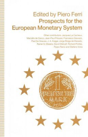 Könyv Prospects for the European Monetary System Piero Ferri