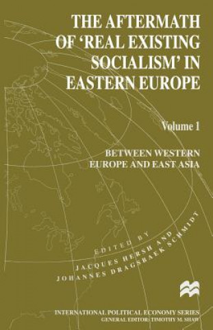 Kniha Aftermath of 'Real Existing Socialism' in Eastern Europe Jacques Hersh
