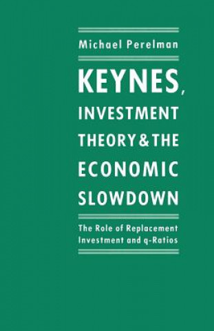 Könyv Keynes, Investment Theory and the Economic Slowdown Michael Perelman