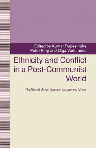 Kniha Ethnicity and Conflict in a Post-Communist World Peter King