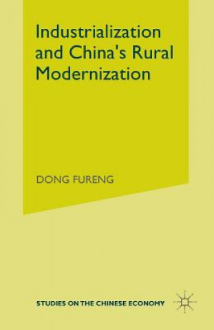 Książka Industrialization and China's Rural Modernization Dong Fureng