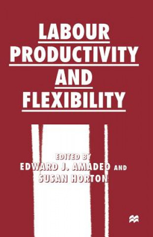 Książka Labour Productivity and Flexibility Edward J. Amadeo