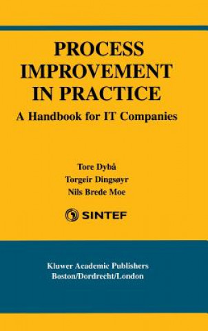 Kniha Process Improvement in Practice Tore