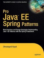 Carte Pro Java  EE Spring Patterns Dhrubojyoti Kayal