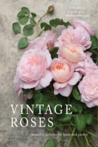 Kniha Vintage Roses Jane Eastoe