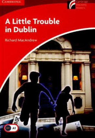 Kniha A Little Trouble in Dublin Richard MacAndrew