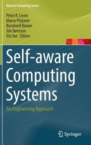 Carte Self-aware Computing Systems Peter R. Lewis