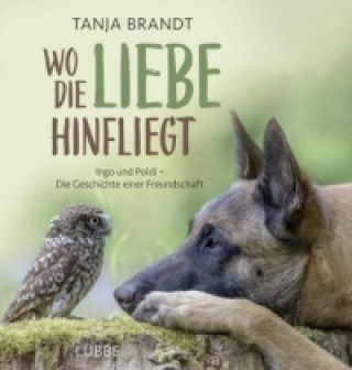 Kniha Wo die Liebe hinfliegt Tanja Brandt