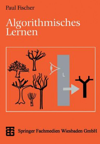 Knjiga XLeitfäden der Informatik Paul Fischer