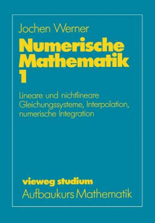 Książka vieweg studium; Aufbaukurs Mathematik Jochen Werner