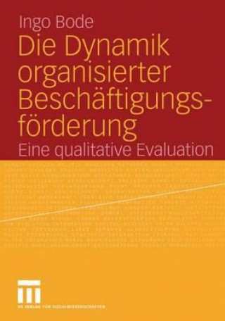 Carte Die Dynamik Organisierter Besch ftigungsf rderung Ingo Bode