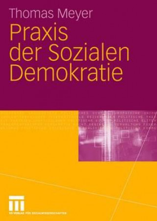 Kniha Praxis Der Sozialen Demokratie Jan Turowski