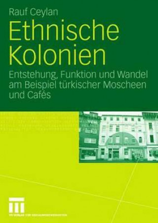 Könyv Ethnische Kolonien Rauf Ceylan