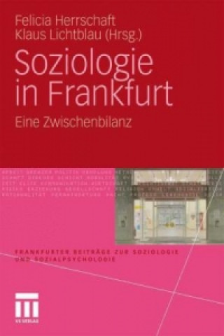Kniha Soziologie in Frankfurt Felicia Herrschaft