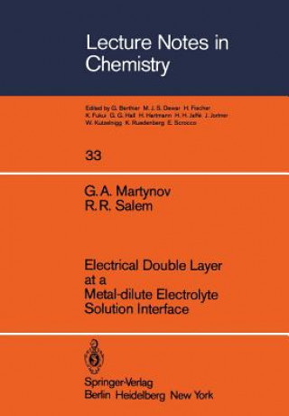 Kniha Electrical Double Layer at a Metal-dilute Electrolyte Solution Interface G.A. Martynov