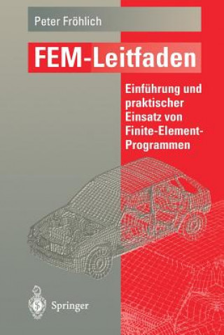 Buch Fem-Leitfaden Peter Fröhlich