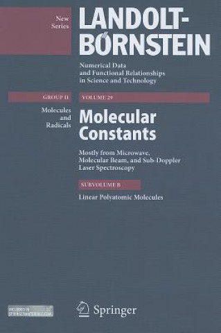Könyv Linear Molecules Wolfgang Hüttner