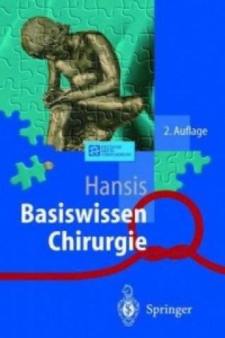 Knjiga Springer-Lehrbuch Martin Hansis