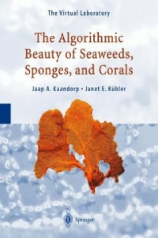 Книга Algorithmic Beauty of Seaweeds, Sponges and Corals Jaap A. Kaandorp