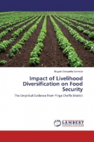 Könyv Impact of Livelihood Diversification on Food Security Bogale Gebeyehu Gemede