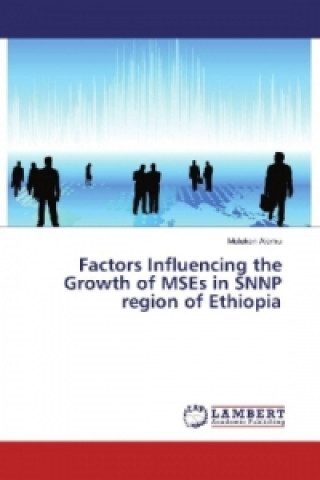 Kniha Factors Influencing the Growth of MSEs in SNNP region of Ethiopia Muluken Alemu