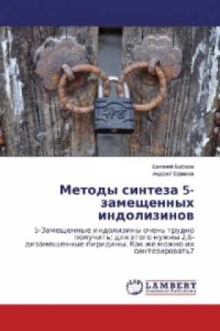 Kniha Metody sinteza 5-zameshhennyh indolizinov Evgenij Babaev