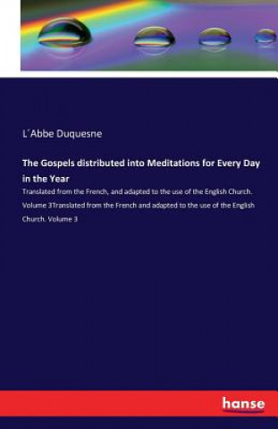 Könyv Gospels distributed into Meditations for Every Day in the Year Labbe Duquesne