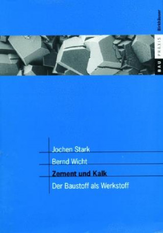 Kniha BauPraxis Jochen Stark