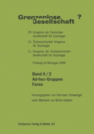 Könyv Grenzenlose Gesellschaft Hermann Schwengel