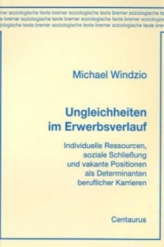 Książka Ungleichheiten im Erwerbsverlauf Michael Windzio