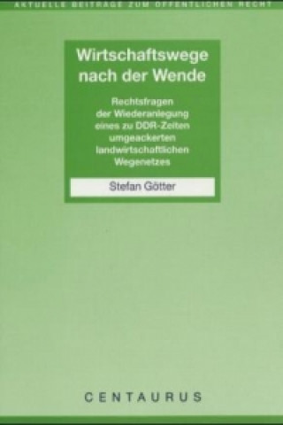 Könyv Wirtschaftswege nach der Wende Stefan Götter