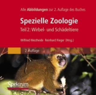 Digital Bild-DVD, Westheide/Rieger (Hrsg), Spezielle Zoologie, Teil 2: Wirbel- oder Schädeltiere Wilfried Westheide