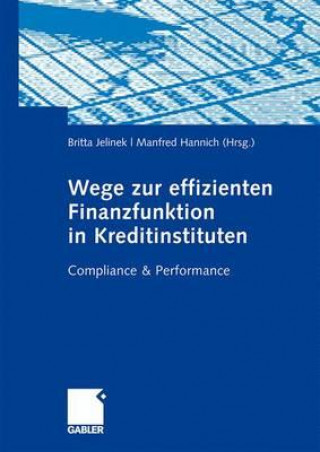 Könyv Wege zur effizienten Finanzfunktion in Kreditinstituten Britta Jelinek
