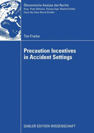 Kniha Precaution Incentives in Accident Settings Prof. Dr. Laszlo Goerke